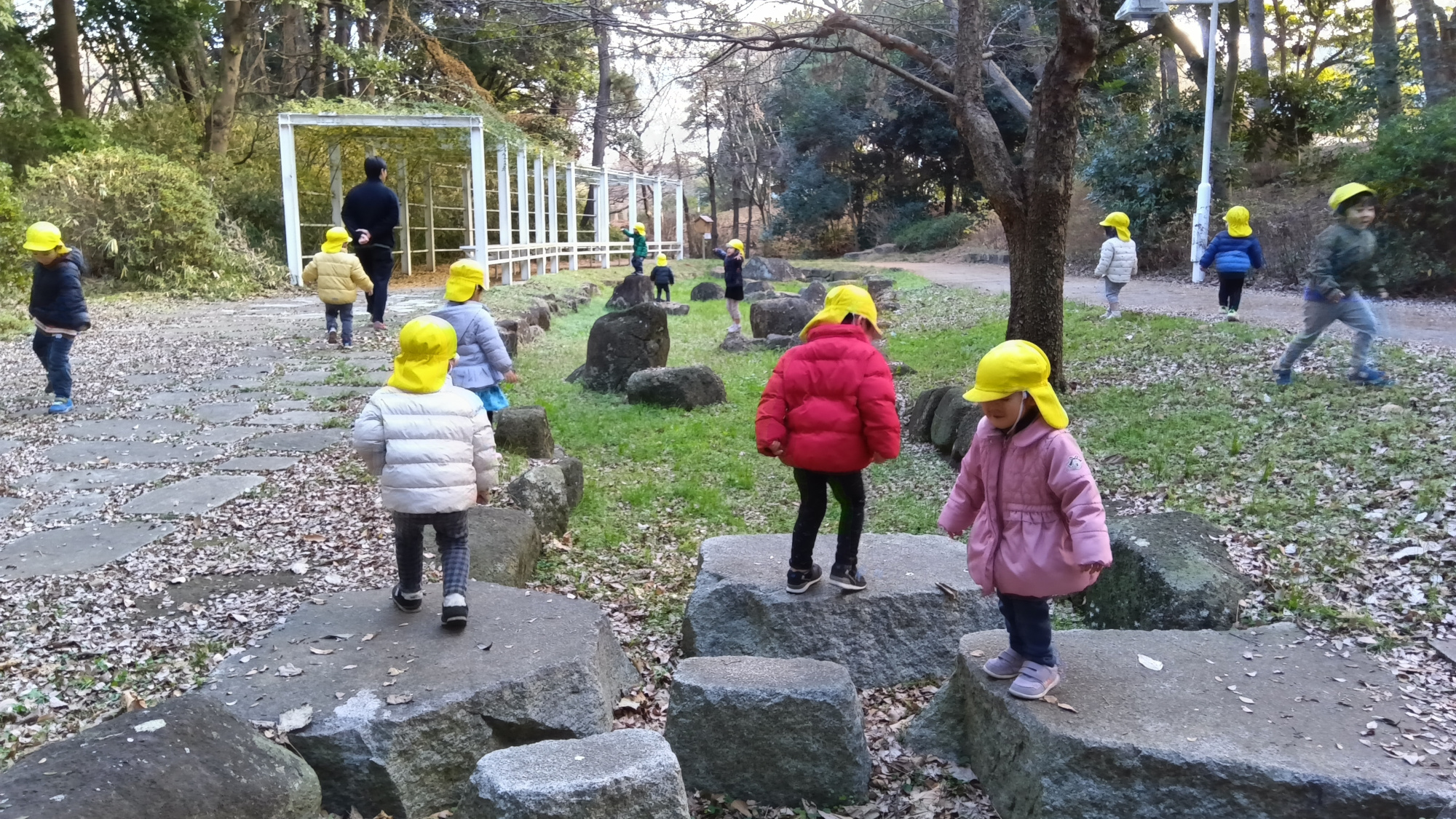 森の中を探索する子どもたち