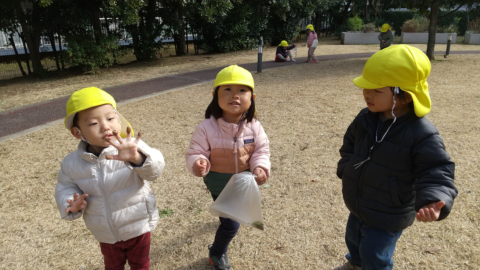 虫食いどんぐりを指にはめて遊ぶ子どもや木の実の収集を楽しむ子どもの様子