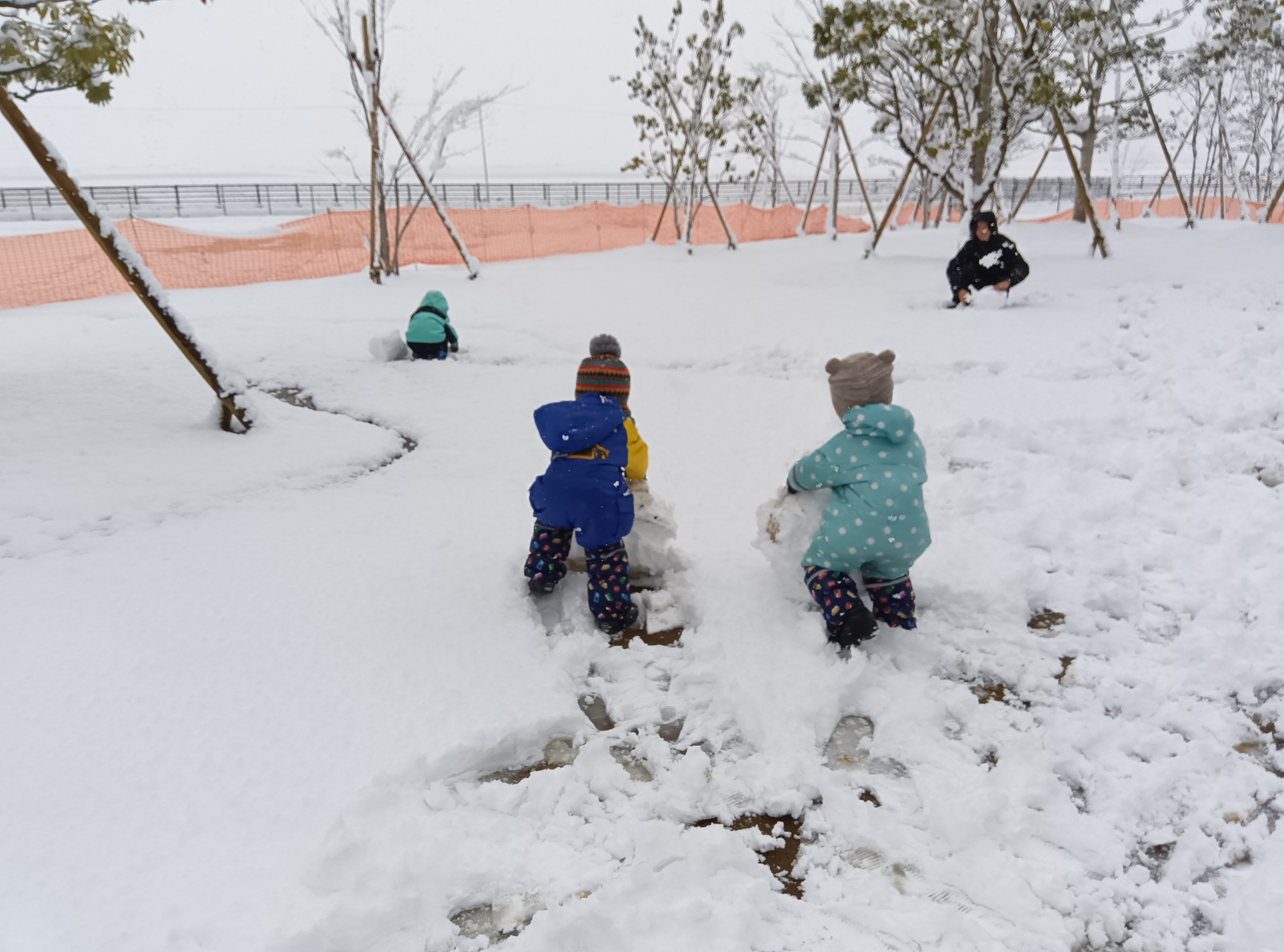 雪遊びをするこどもたちの様子