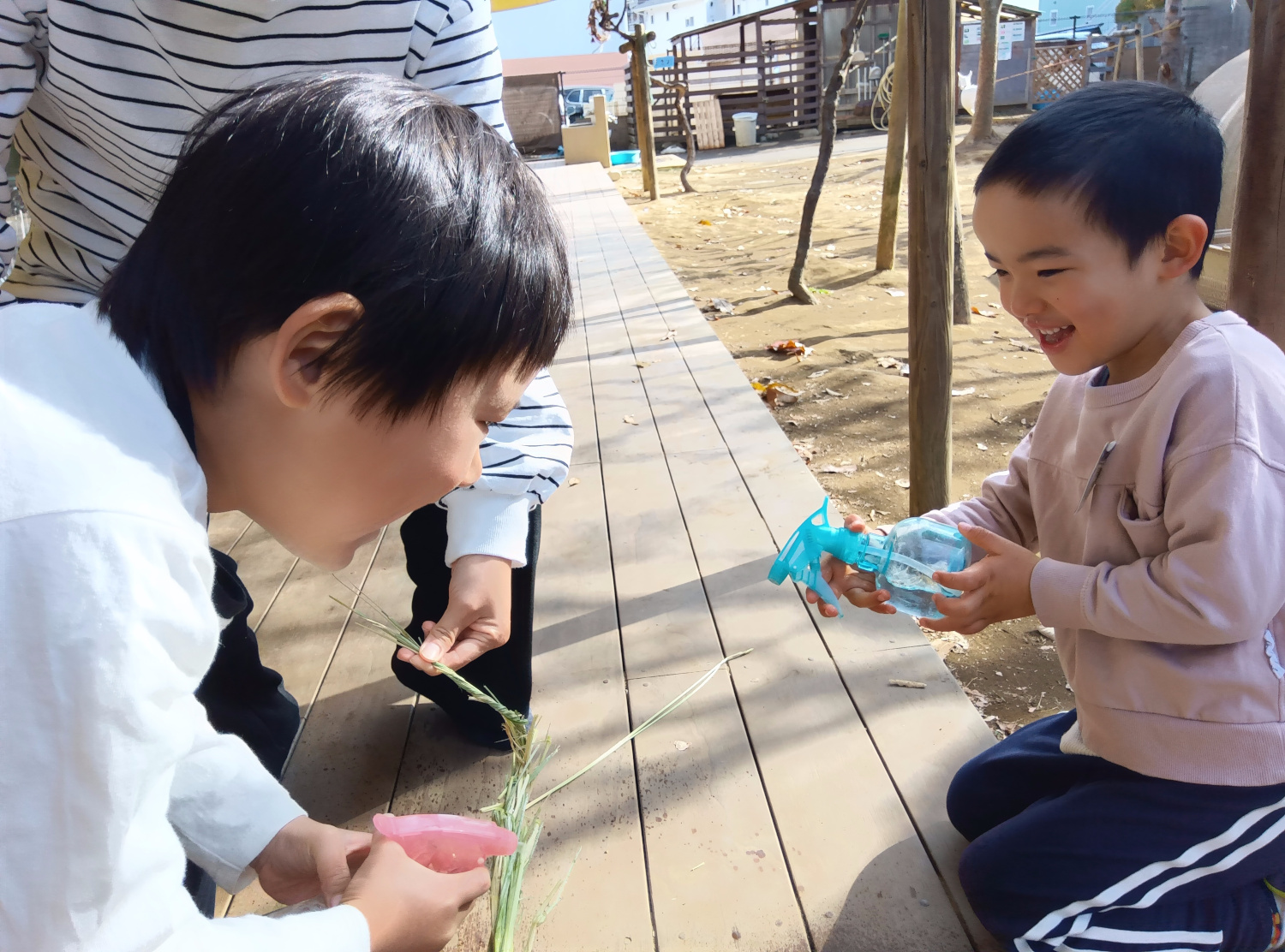 藁を霧吹きで湿らせる子どもたち