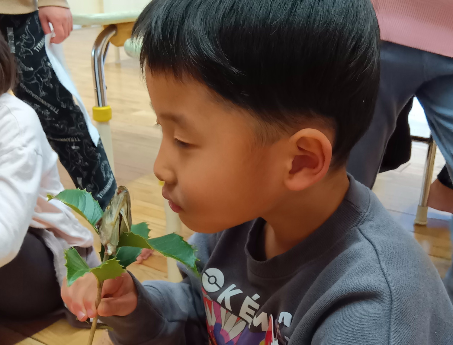 柊の木にニシンの頭を刺したものの臭いをかぐ子ども