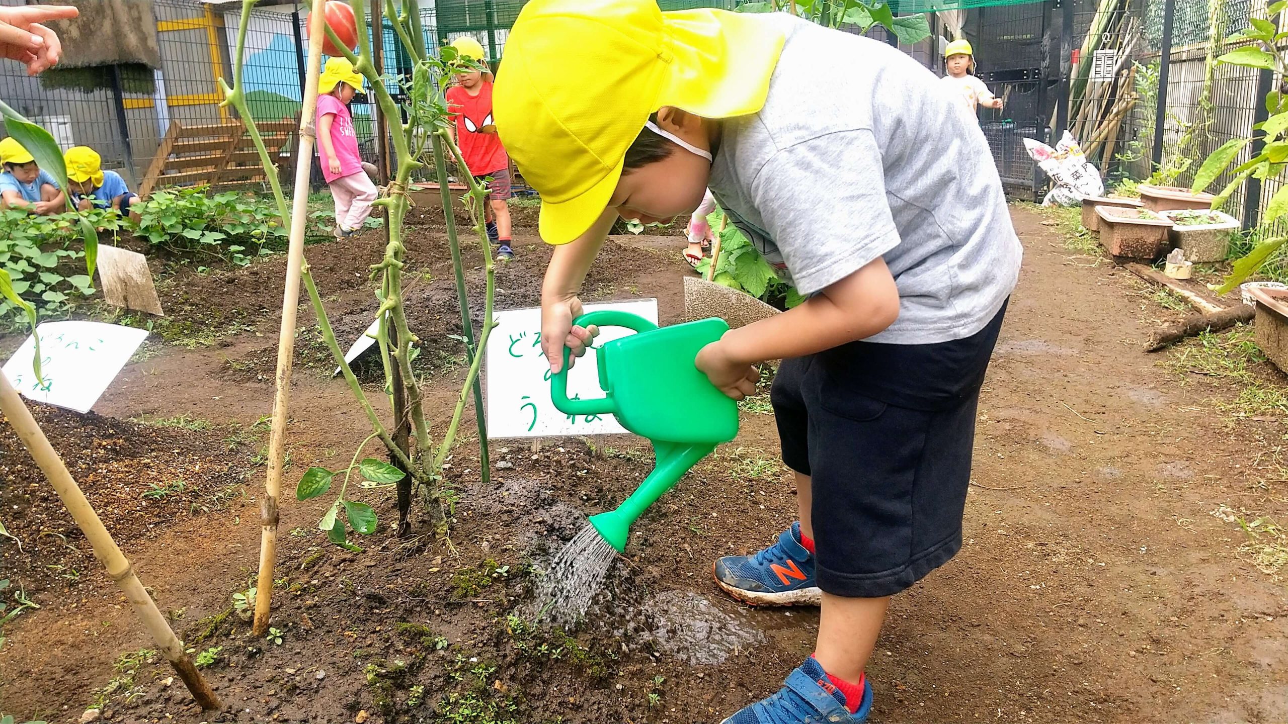 畑仕事のいそしむ子どもたち