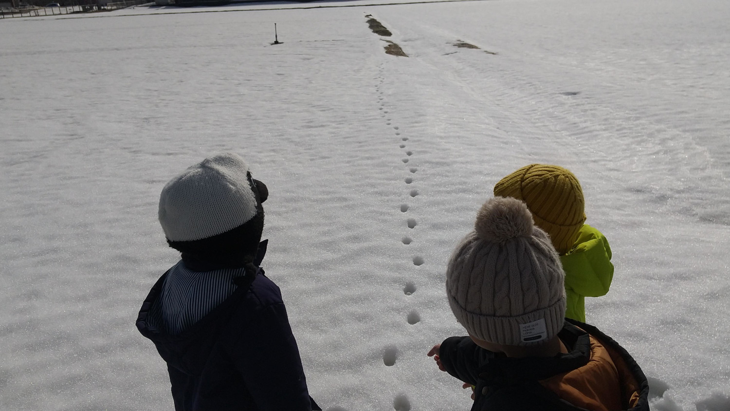 雪の上の動物の足跡を指差す子どもたち