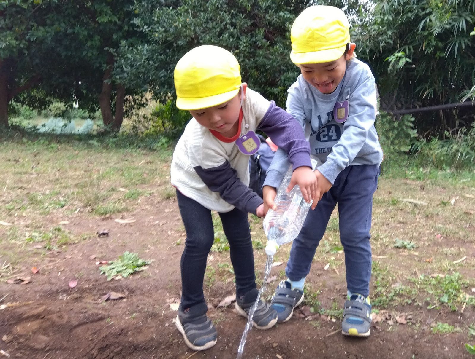 協力してペットボトルで畑に水をあげる子どもたち