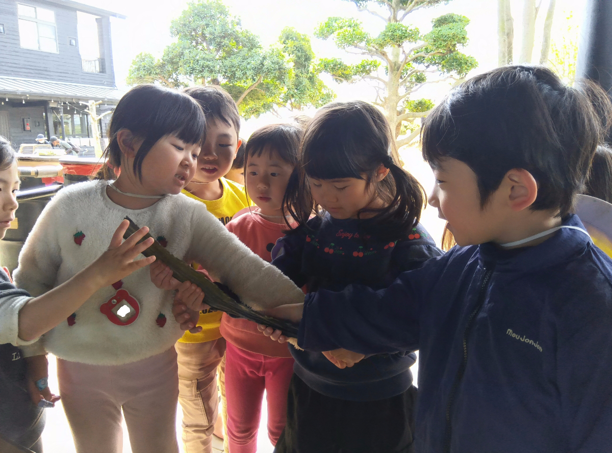 昆布に触れる子どもたち