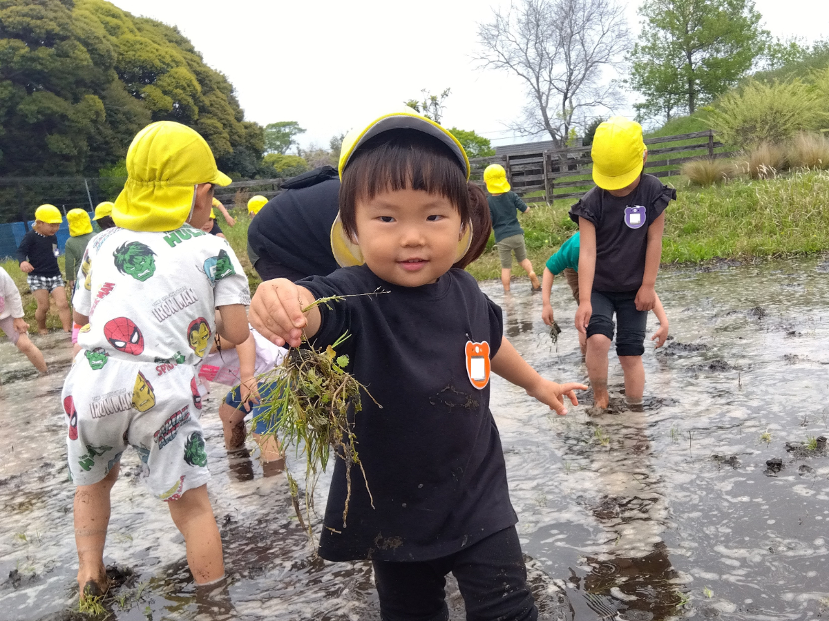 雑草を抜いて満足げな子ども