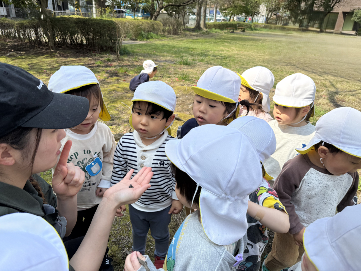 ダンゴムシを見つめるたくさんの子どもたち