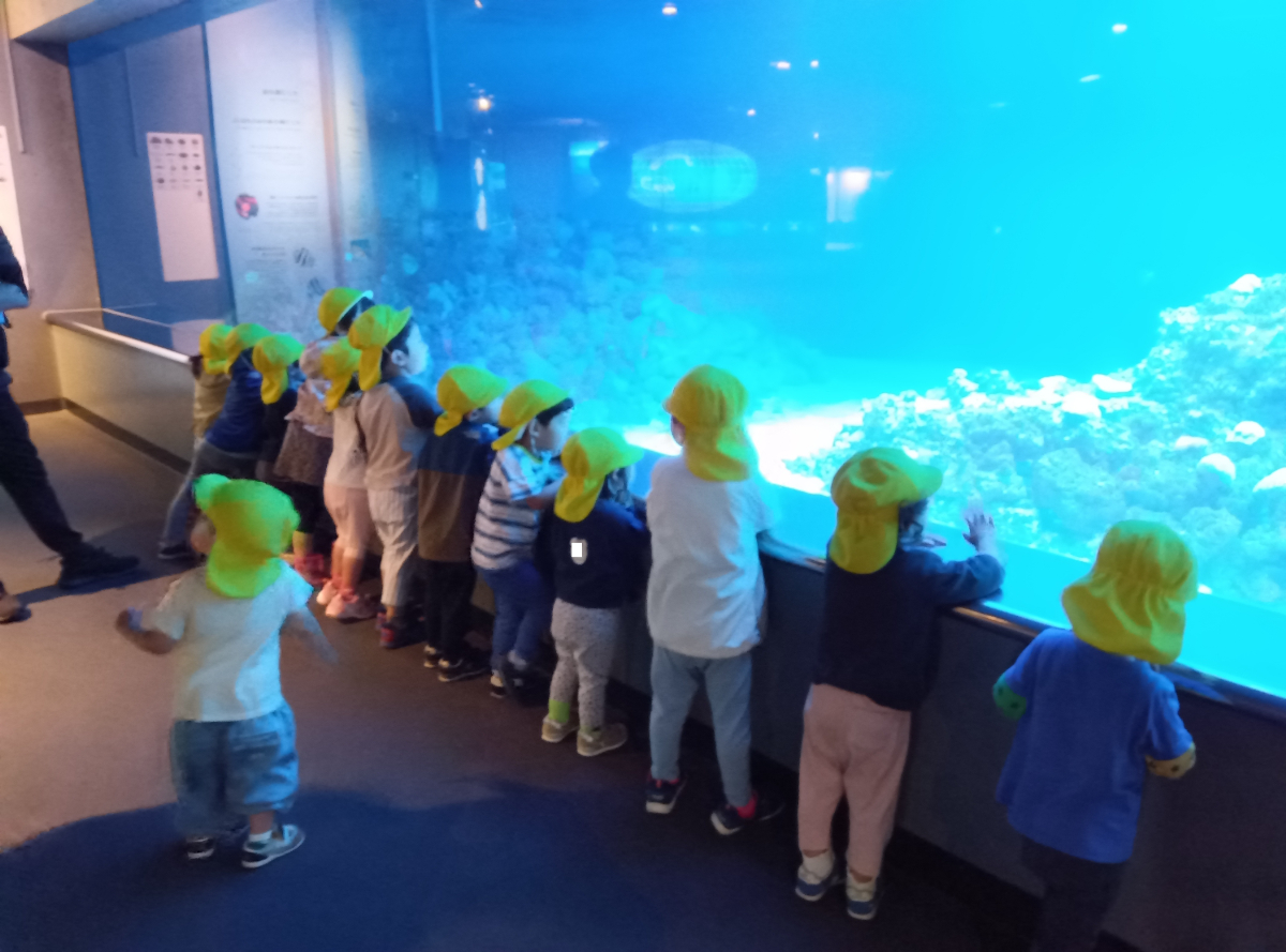 水族館での様子
