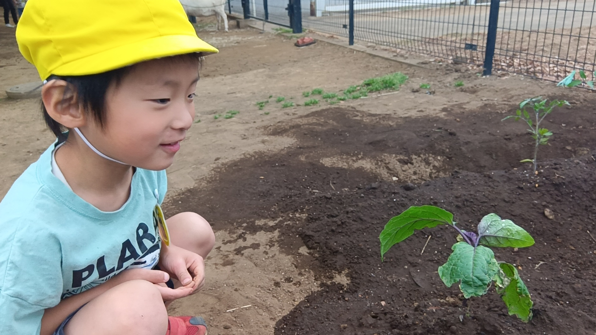 野菜に興味津々の子ども