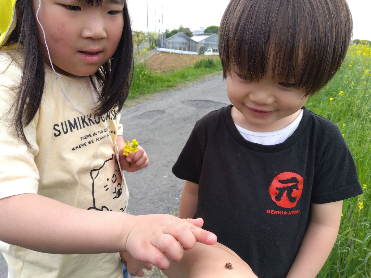 テントウムシを観察する子どもたち