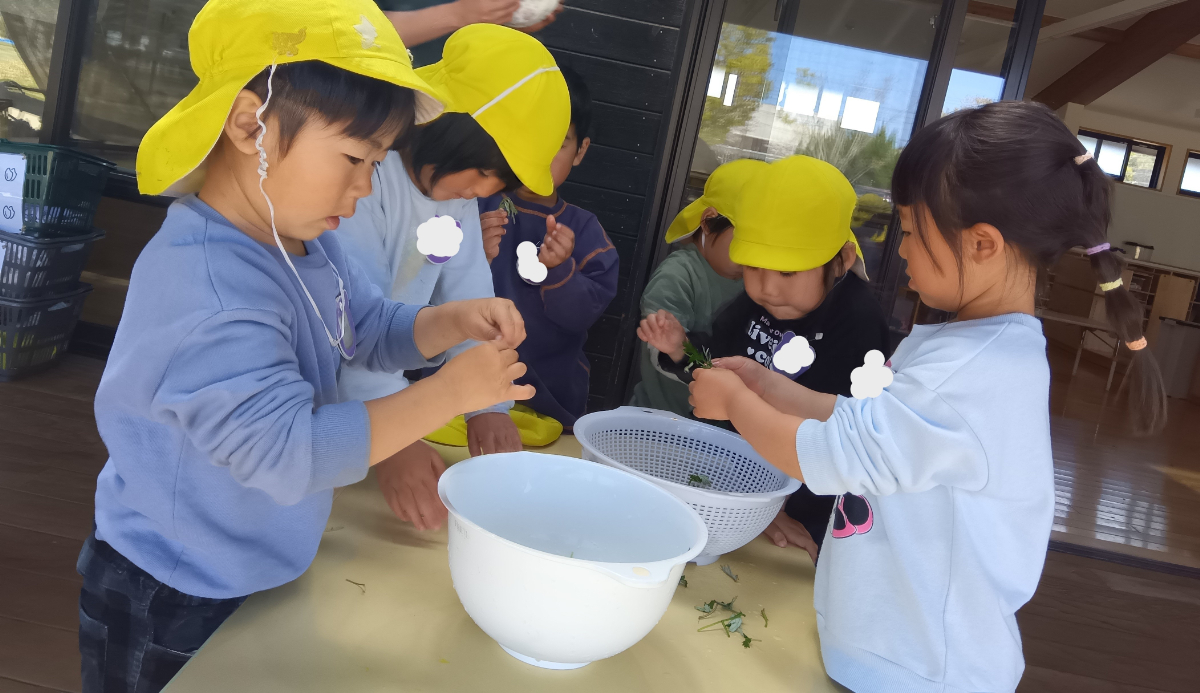葉を摘み取る作業中