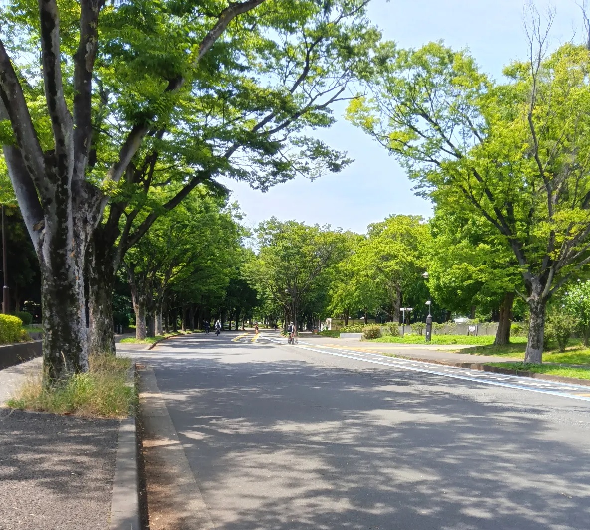 公園の写真