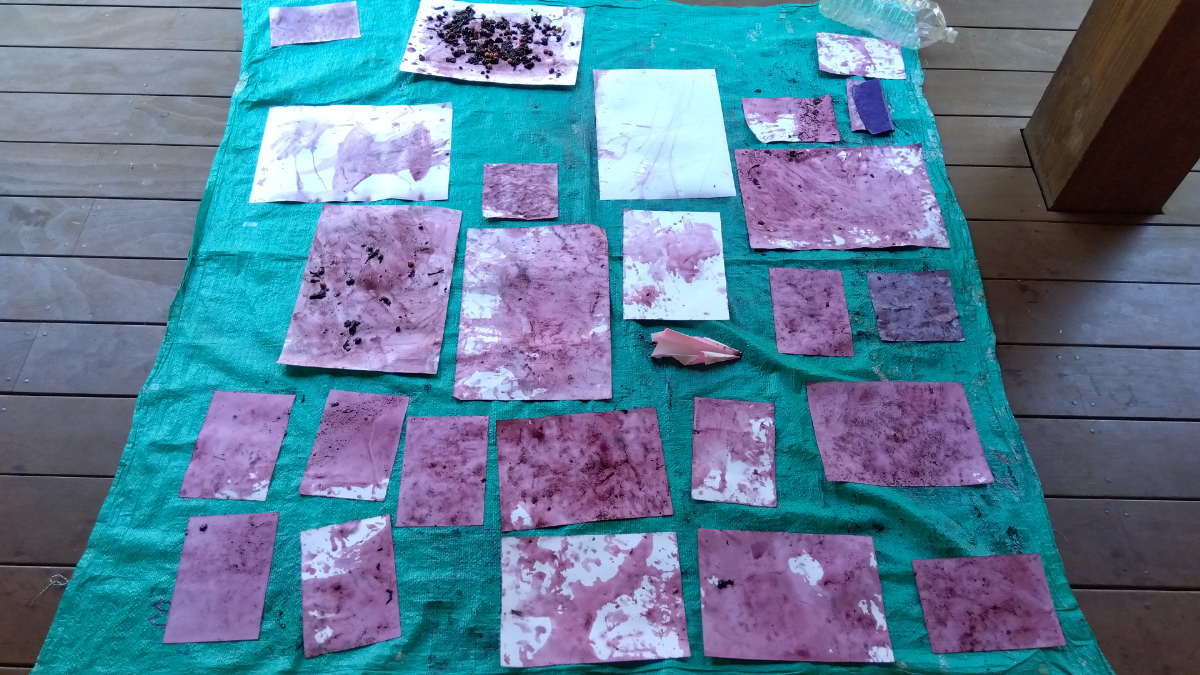 桜の実で染まった画用紙