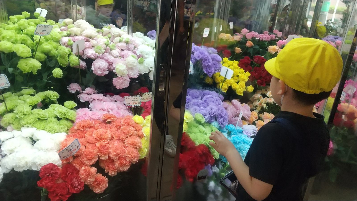 花を見つめる子ども