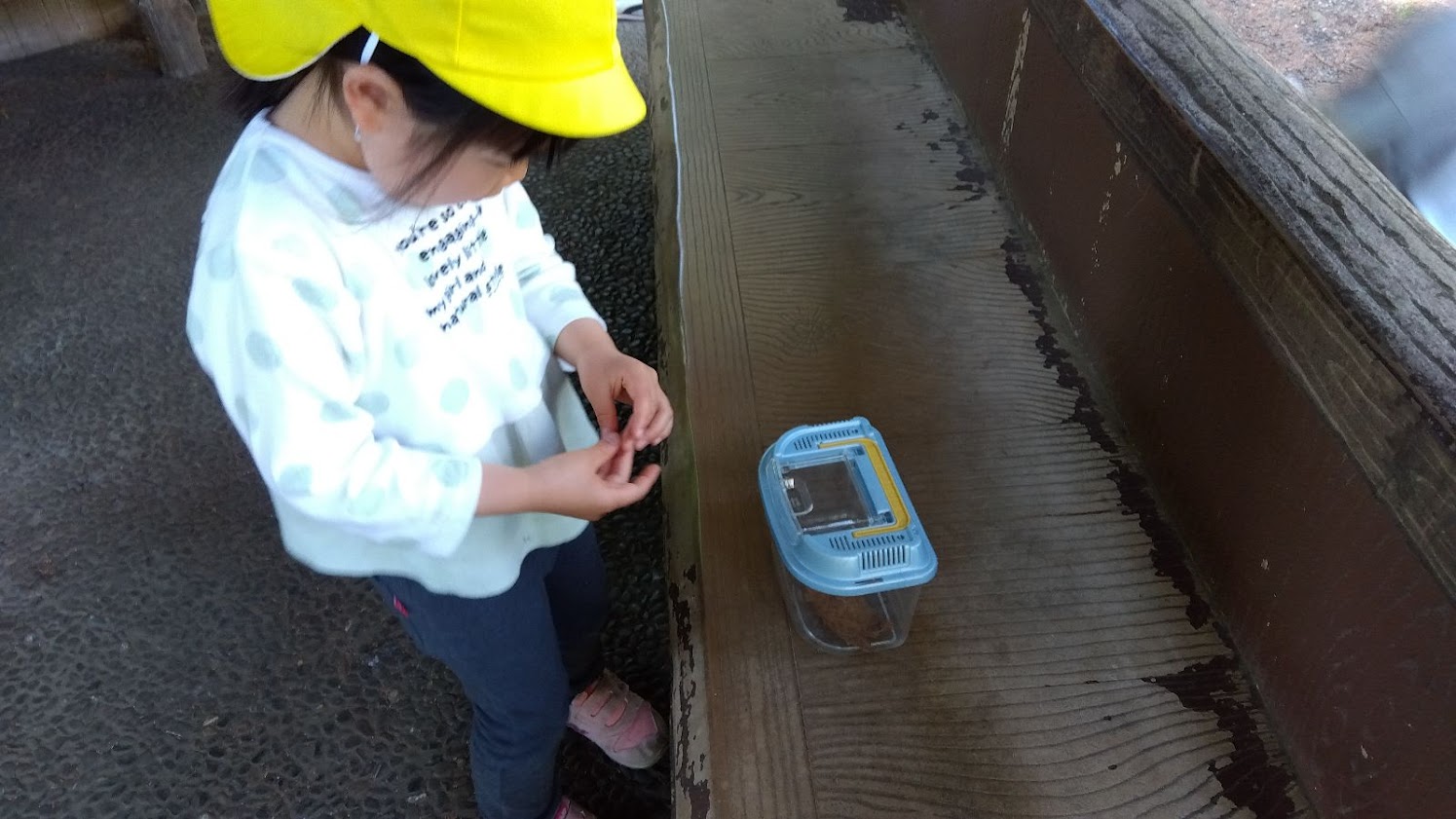 虫かごの虫に触れる子ども