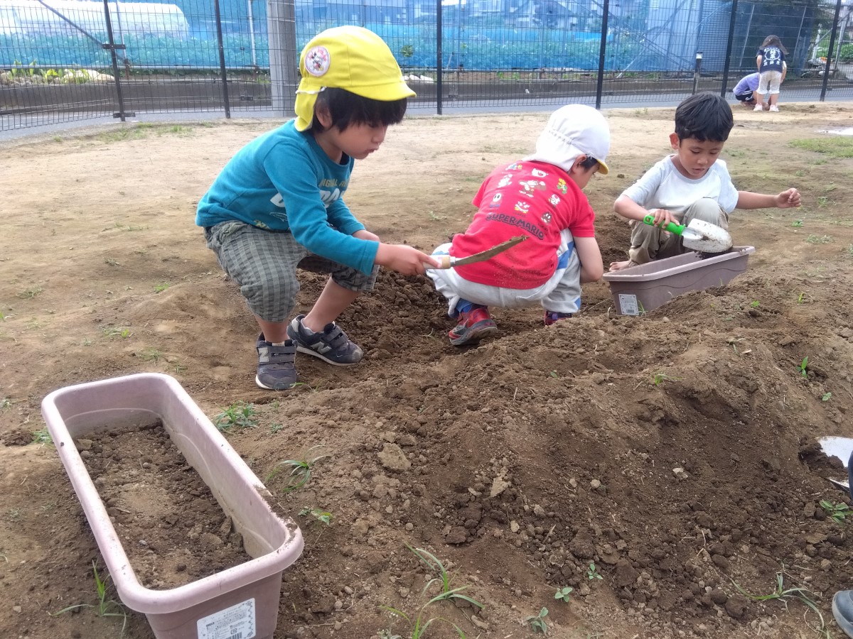 プランターに土を入れる子どもたち