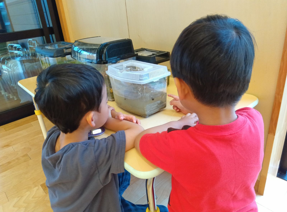 生き物を眺める子どもたち