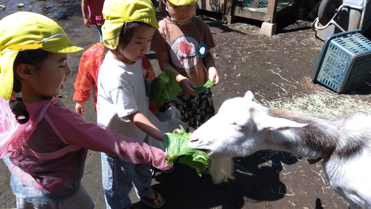 ヤギに餌やりをする子どもたち
