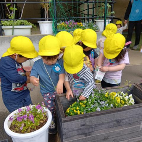 プランターの花を摘む子どもたち