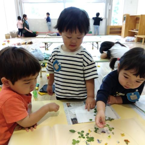 押し花をつくるようす