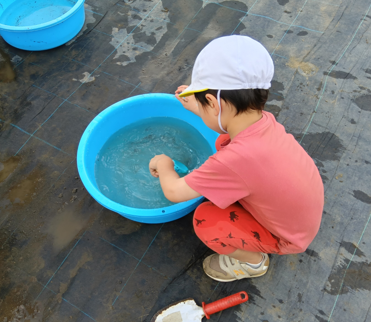たらいの水をすくう子ども