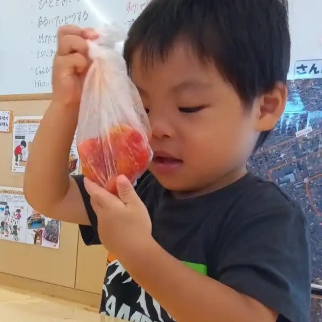 袋にトマトを入れて潰す子ども