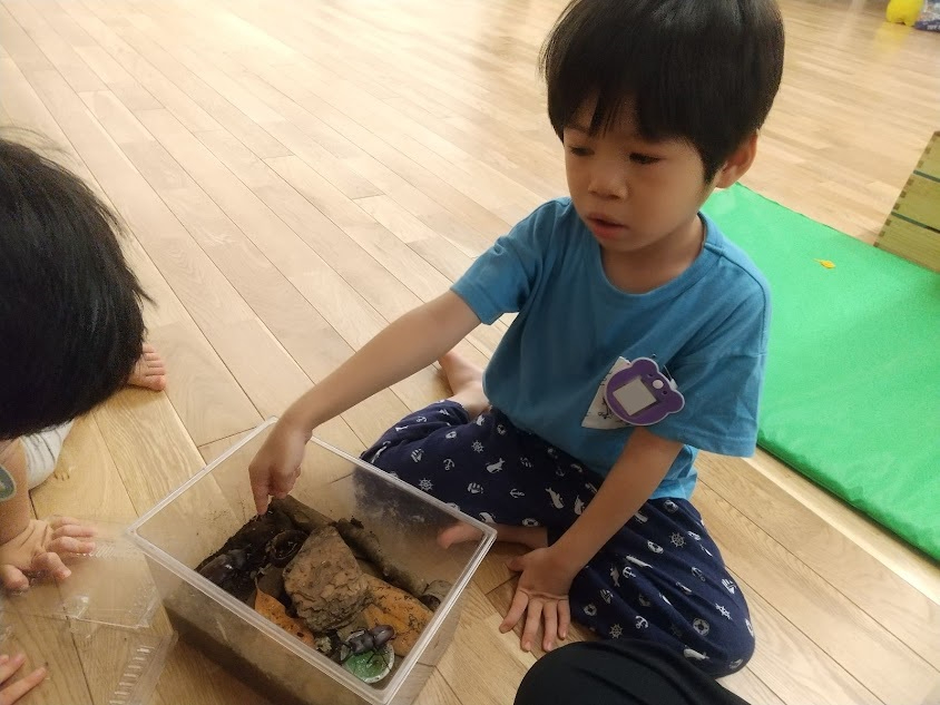 生き物を観察する子ども