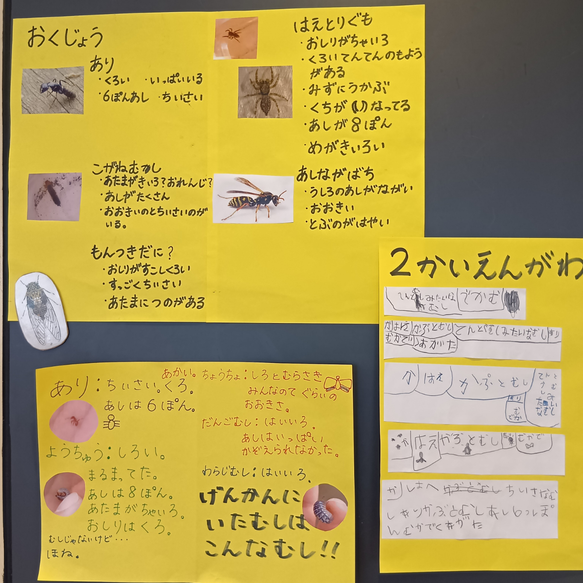 場所ごとの虫探し結果をまとめたもの