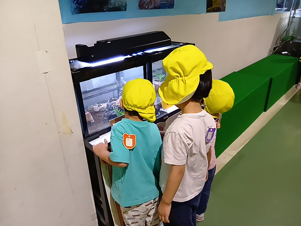 標本を見る子どもたち
