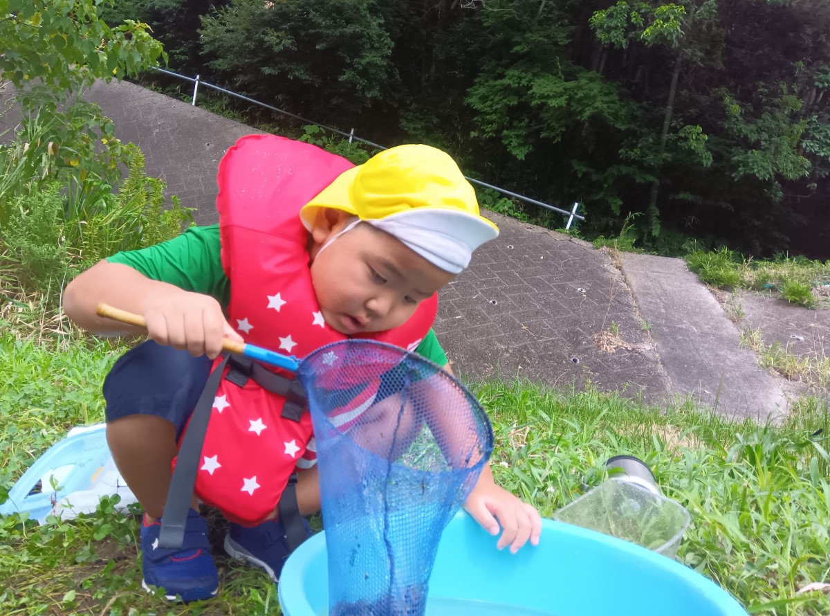 捕まえた生き物をたらいに入れる子ども