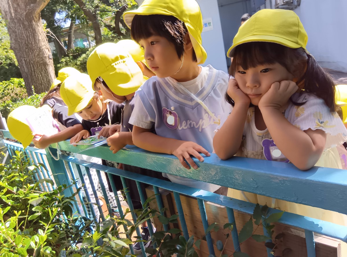 柵越しに動物を見る子どもたち