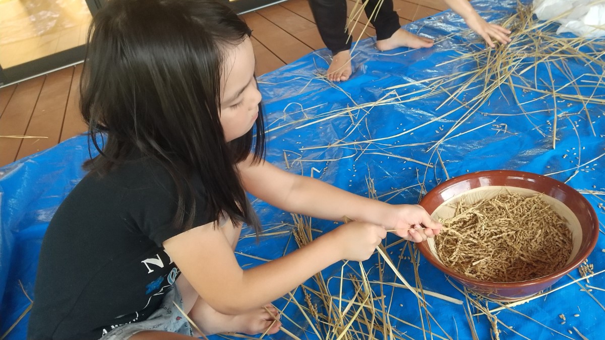 脱穀作業をする子どもたち