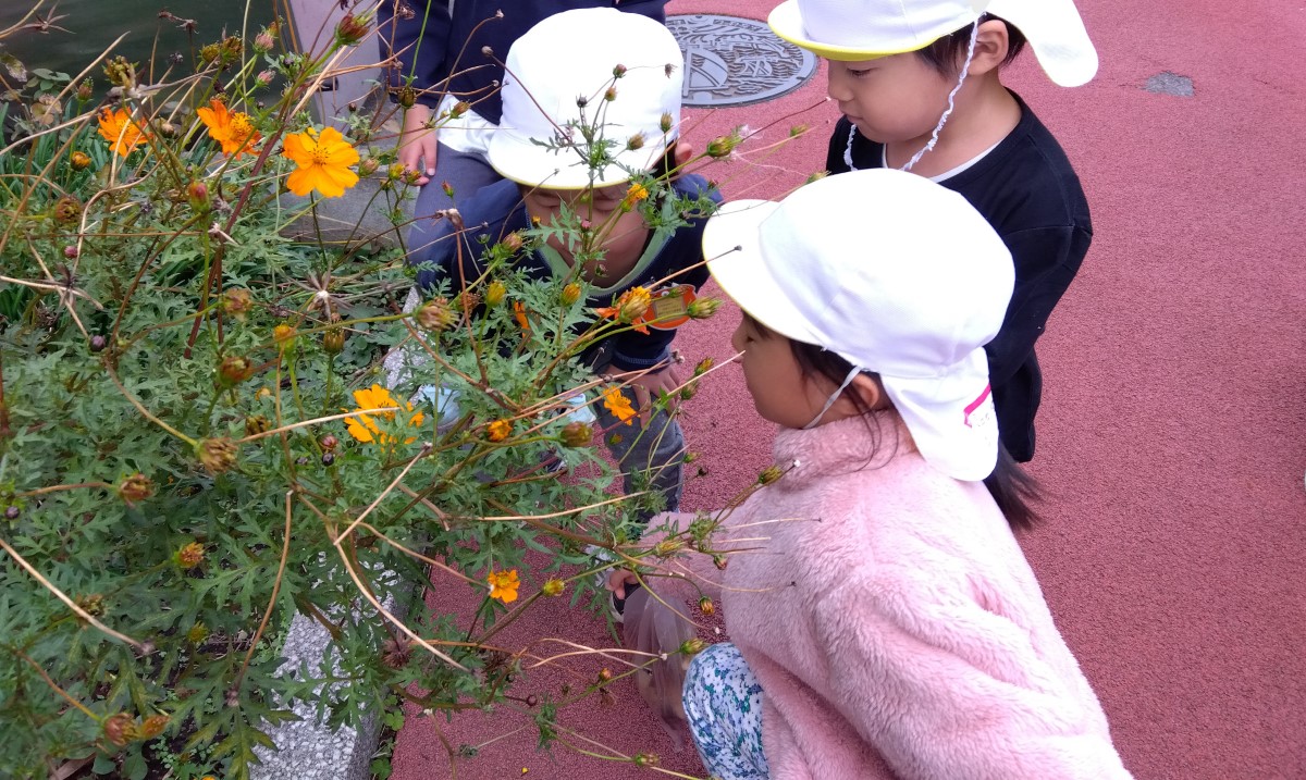 花の香りを楽しむ子どもたち