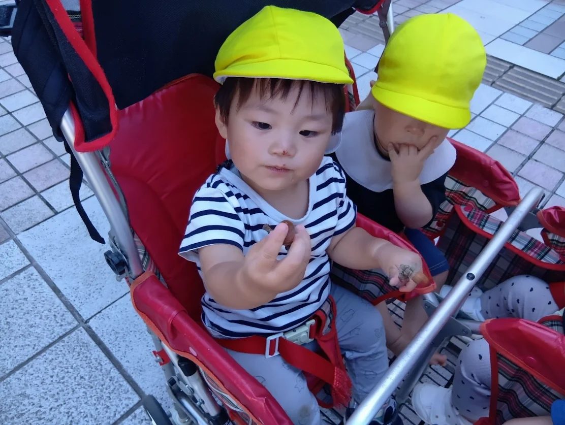 どんぐりを見つめる子ども