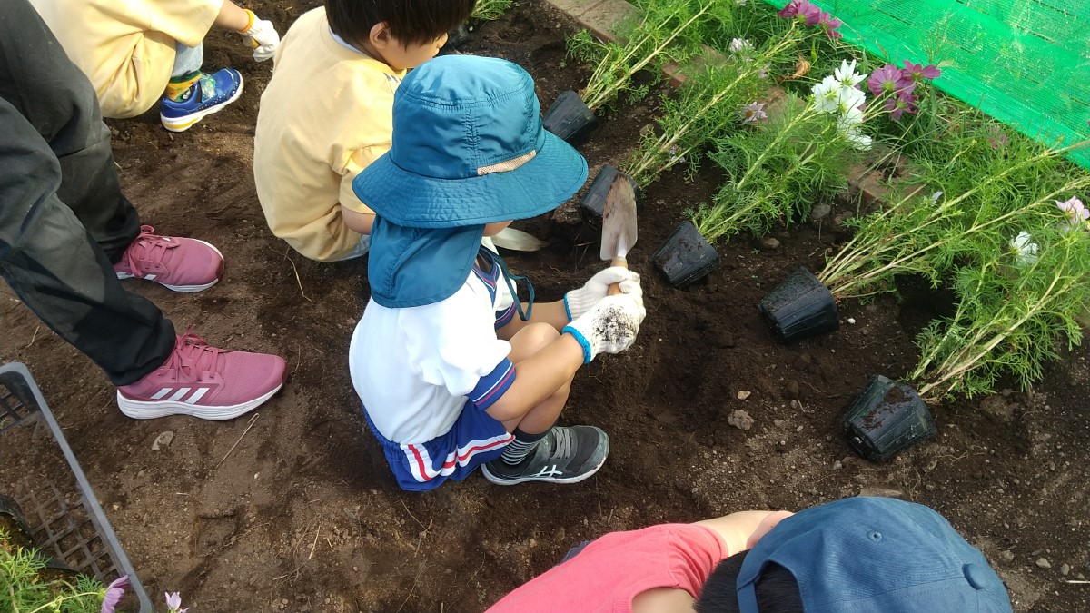 苗を植えるために、シャベルで穴を掘る子どもたち