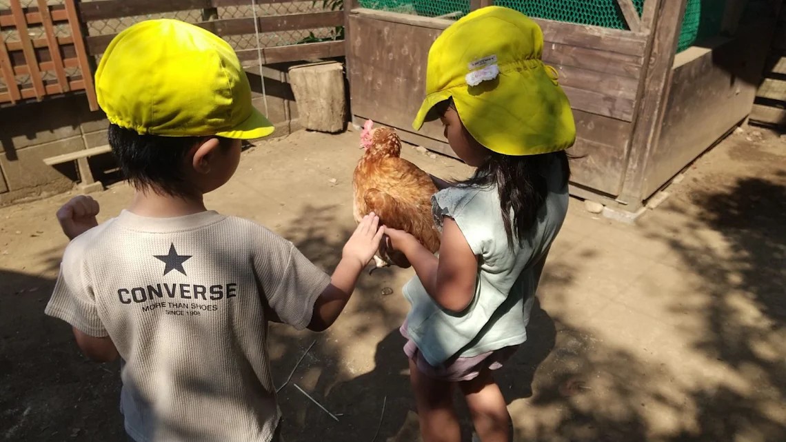 鶏を抱っこする子どもたち