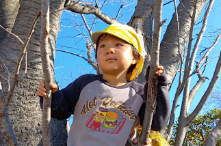 木登りをする子ども