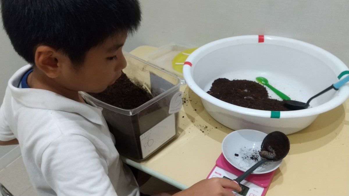 土の重さを計る子ども