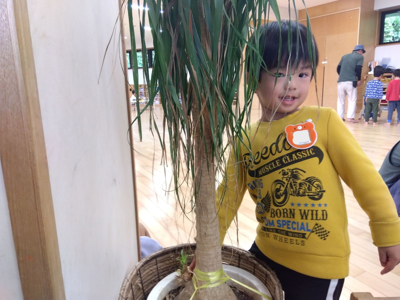 観葉植物の新芽を指差す子ども