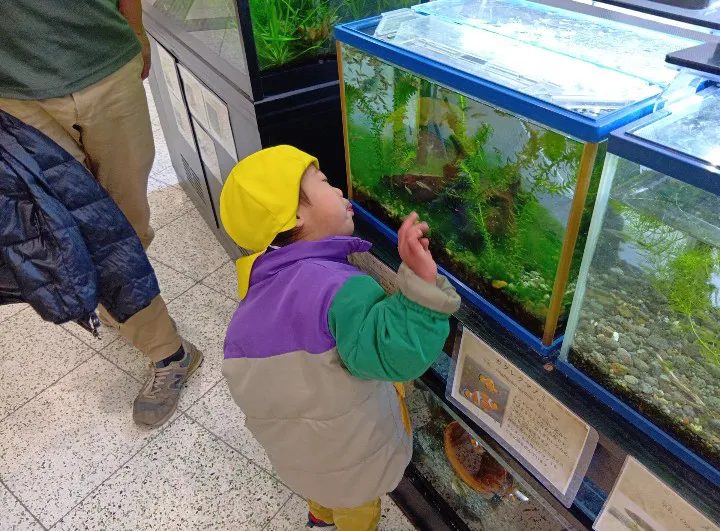 水槽を覗き込む子ども