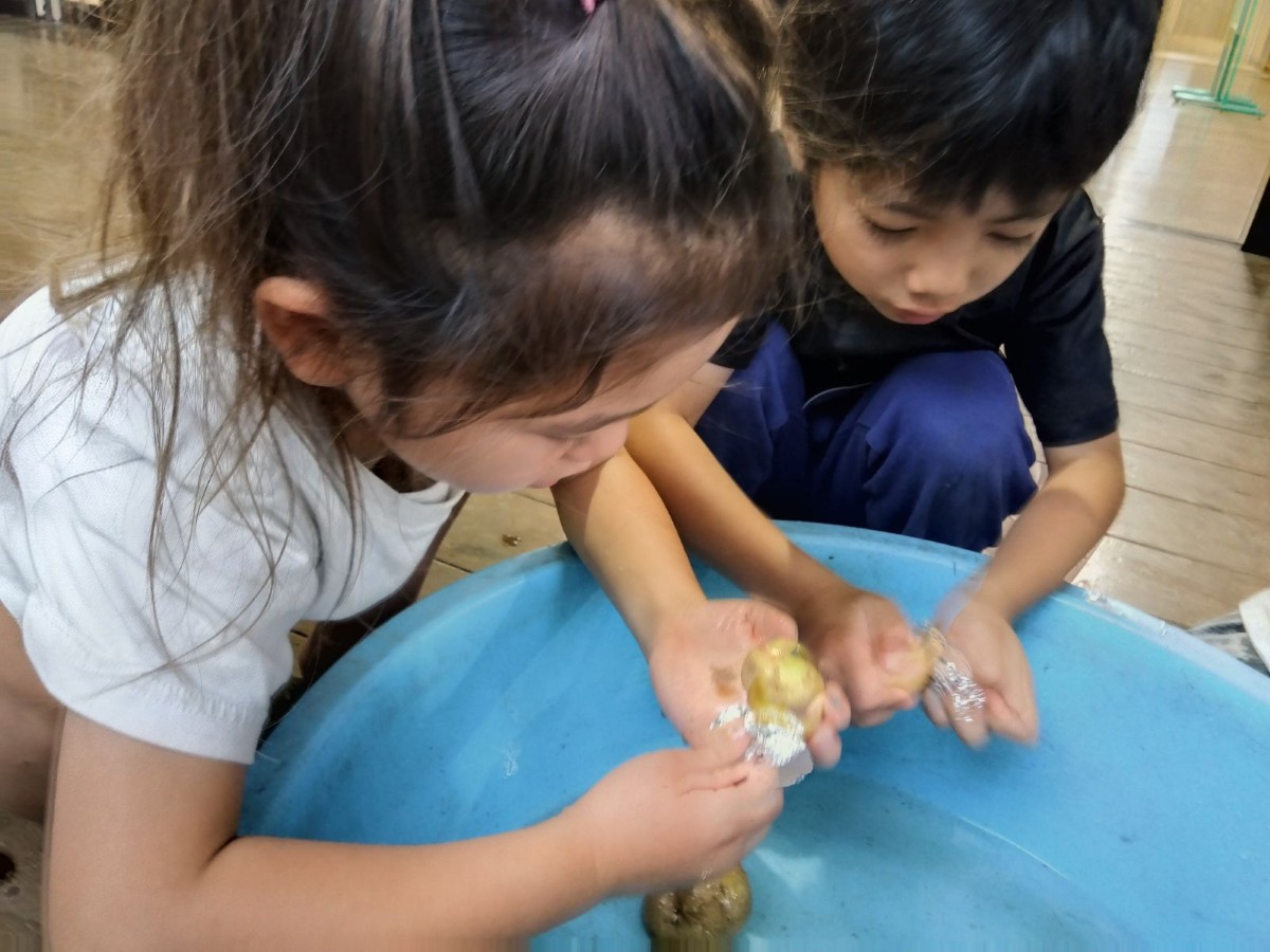 子どもたちは、水の入ったたらいの中で土付きのジャガイモにアルミホイルをこすりつけて土を落としている
