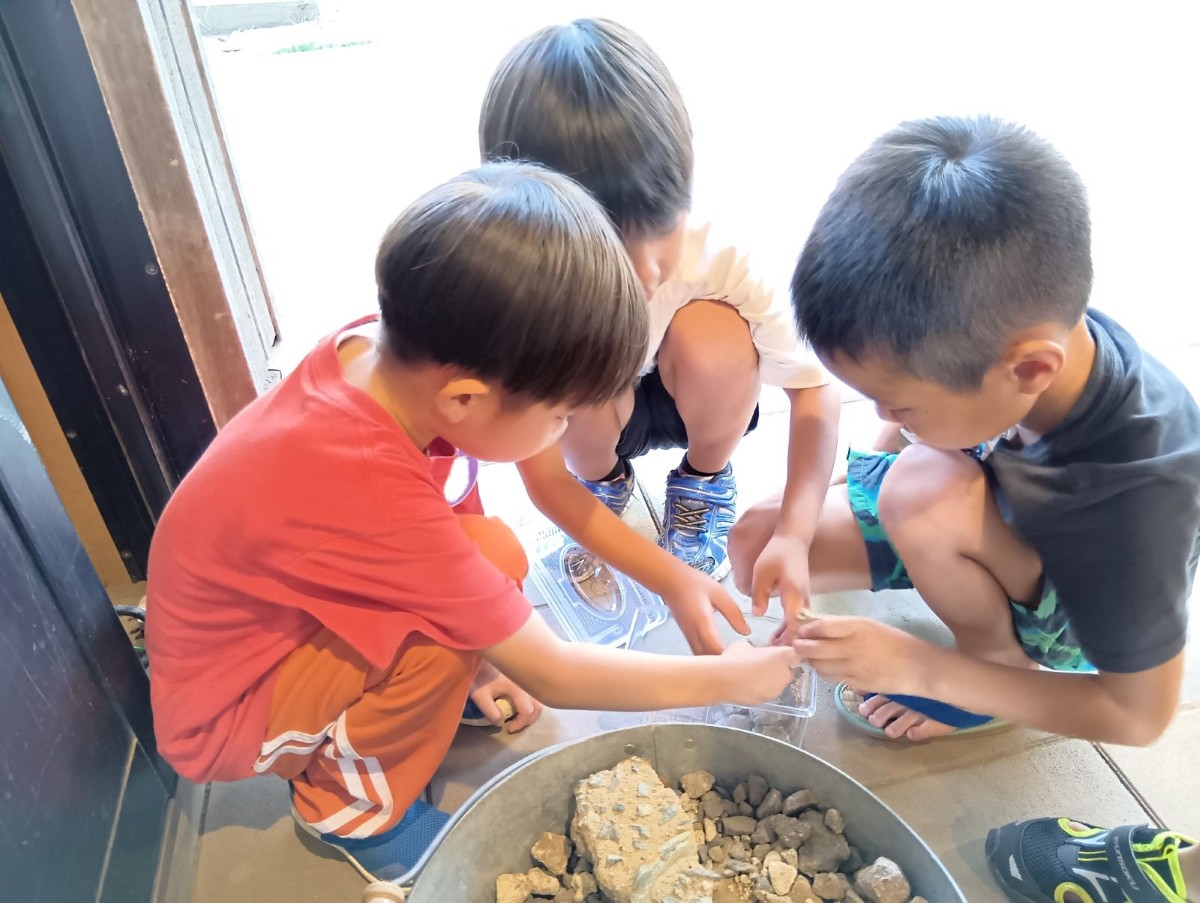 3人の子どもが石を飼育ケースに入れている