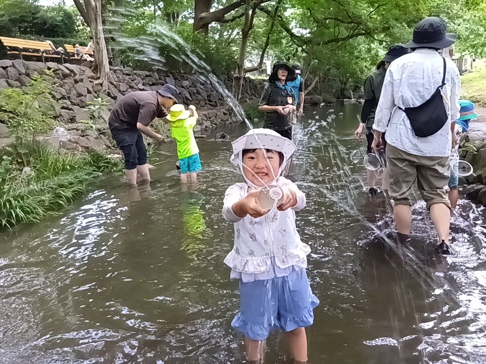 川の中で大人と子どもがそれぞれ探検をしており、一人の子どもはペットボトルの水シャワーをこちらに向かってかけている