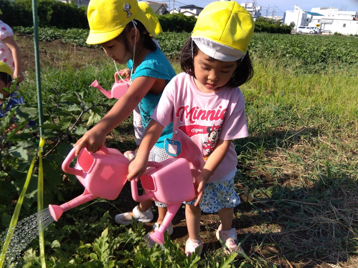 畑では、子どもたちがじょうろで植物に水をあげている