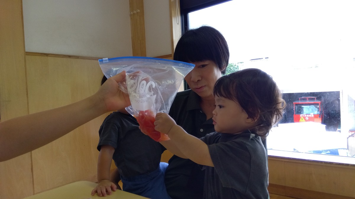 一人の子どもがトマトが入ったジッパー付きビニール袋を両手でつまんでいる