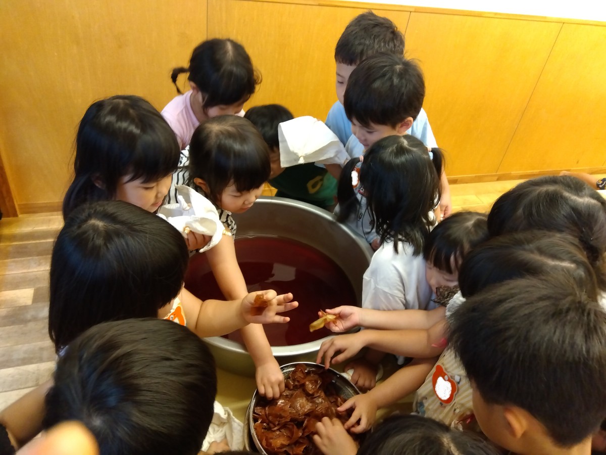 玉ねぎの皮を煮出した茶色の染液と取り出した玉ねぎの皮がそれぞれ鍋の中にあり、子どもたちは輪ゴムで絞りを付けた布を持ち、その周りに集まっている