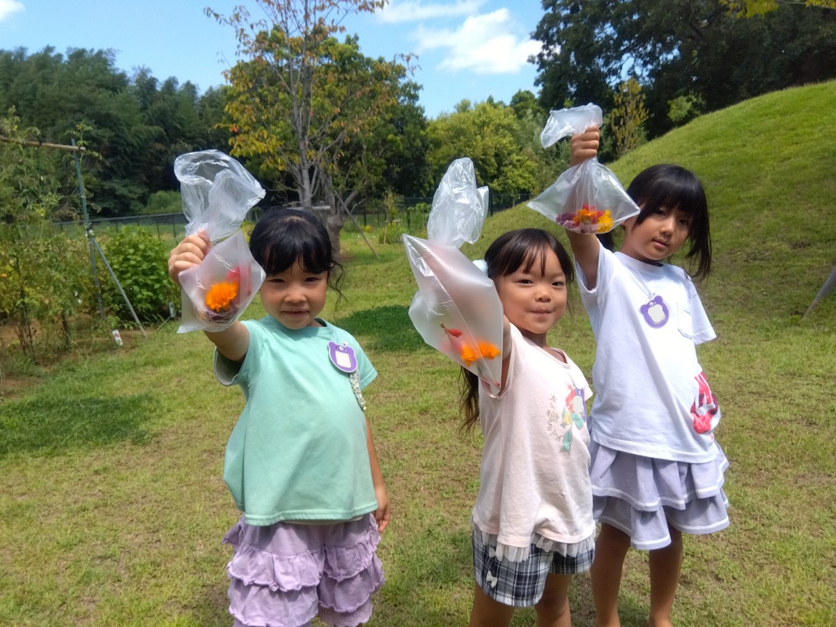 3人の子どもたちが、花の入ったビニール袋をこちらに見せている