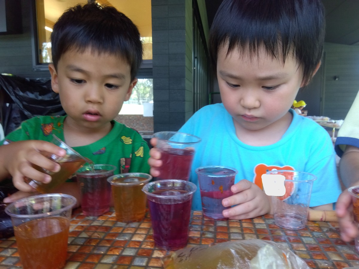 子どもたちは透明コップに作った色水を入れて、色水の移し替えを楽しんでいる