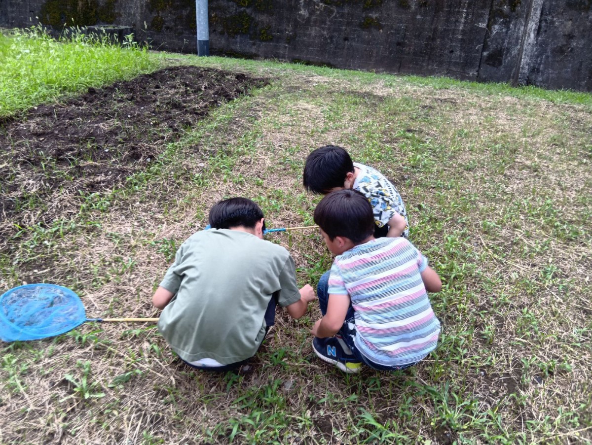 戸外では、3人の子どもたちが虫取り網を地面に置いてしゃがんでいる