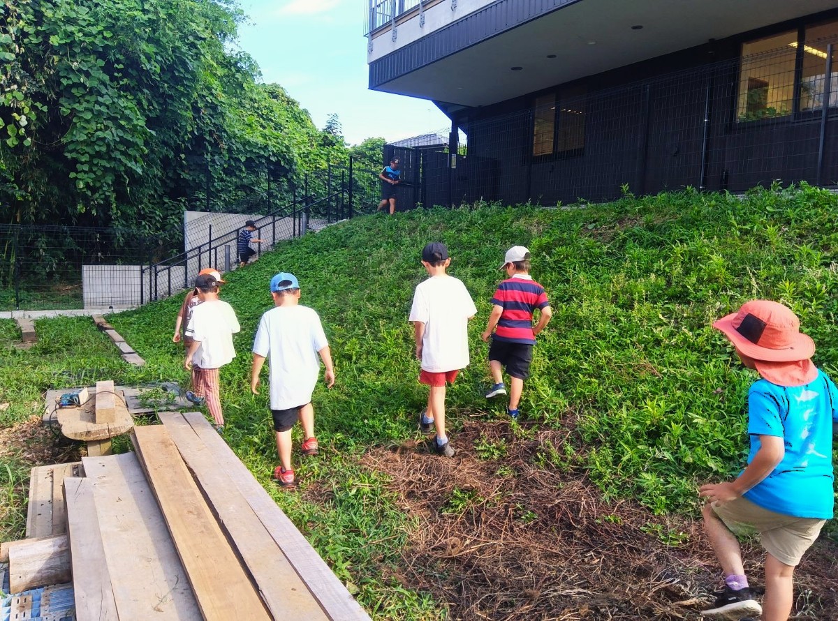 園庭では、子どもたちが探索をしている
